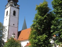 Bakaláře