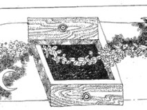F. Doubek. Šuplíček M. Brůhové. Perokresba. 